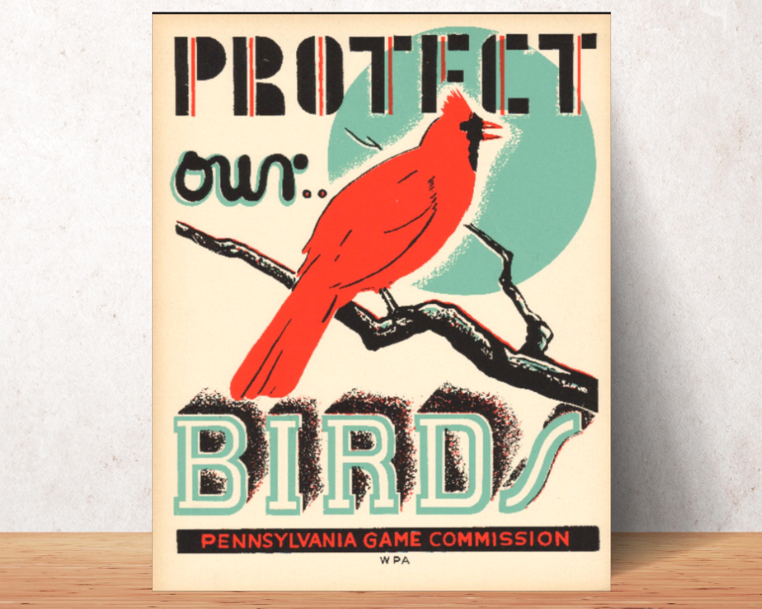 Cardinal Album Cover - Etsy Cardinal Album Cover - Etsy
