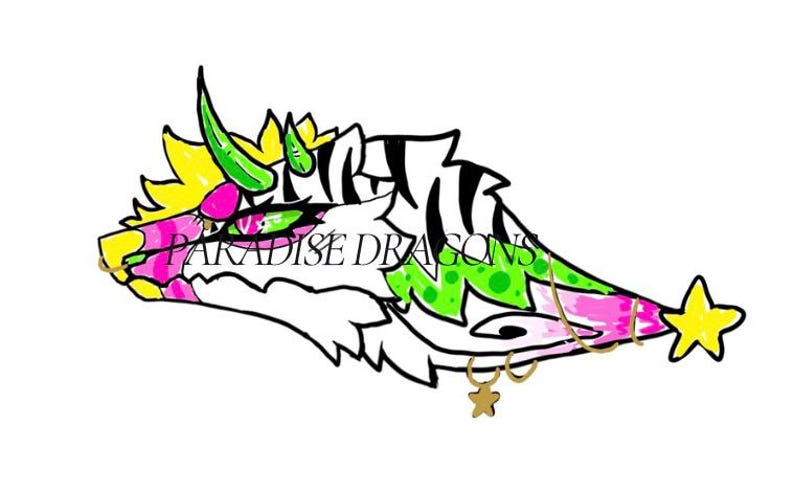 May include: A colorful illustration of a dragon's head with the text "PARADISE DRAGONS". The dragon features pink, green, yellow, and black accents, with a gold star and small gold charms. The design is on a white background.
