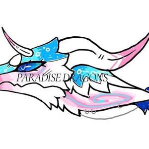 May include: A stylized illustration of a dragon's head, featuring a white body with blue and pink accents. The dragon has horns, blue eyes, and the text "PARADISE DRAGONS" is visible.