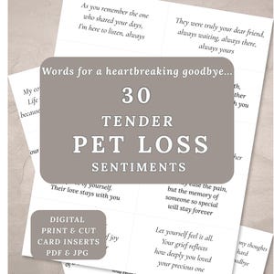 May include: A collection of printed card inserts with text about pet loss. The cards feature phrases like "Words for a heartbreaking goodbye..." and "30 Tender Pet Loss Sentiments." The cards are designed for digital print and cut in PDF and JPG formats.