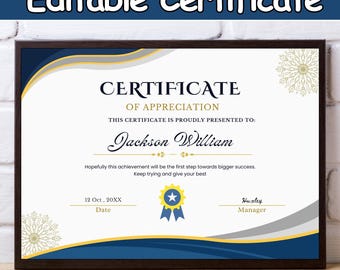 Certificate of Appreciation Template, Editable Canva Award Certificate, Professional Recognition Certificate Digital Download