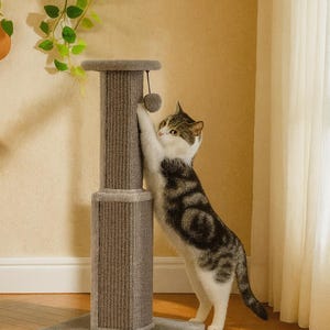 Großer Katzenkratzbaum mit Sisalseil - 81cm Stabiler Katzenturm zum Klettern & Kratzen - Vertikaler Kratzbaum mit Spielball