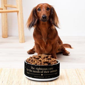 Peut inclure: Un teckel brun à poils longs est assis derrière une gamelle ronde remplie de croquettes. Le bol noir présente des étoiles dorées, des ornements décoratifs et le texte : The righteous care for the needs of their animals. PROVERBS 12:10.
