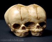 Chocolate conjoined fetal skull