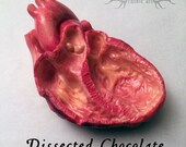 Chocolate Dissected Human Heart