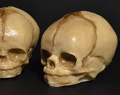 Chocolate fetal skull