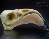Chocolate Flamingo skull