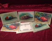 Edible Christmas Cards- Victorian Dead Birds