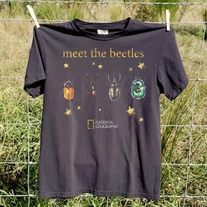Op de afbeelding: Een antracietgrijs T-shirt met korte mouwen en de tekst "meet the beetles" in gouden letters. De afbeelding bevat vier verschillende keverillustraties in oranje, rood, metallic en groen, omringd door gouden sterren en het National Geographic logo.