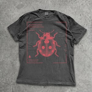 Puede incluir: Una camiseta de manga corta gris carbón con un gráfico rojo de una mariquita. El estampado incluye el texto COCCINELLIDAE SEPTEMPUNCTATA, LADY BUG, No. 23, Fig. 1 y WOODLAND STUDIES NATURAL HISTORY, todo dentro de un marco rectangular rojo fino.