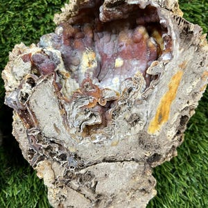 May include: A cross-section of a geode, showcasing a cavity lined with crystalline formations. The outer shell is a mix of beige and gray, while the interior reveals shades of purple, orange, and white. The geode rests on a green surface.