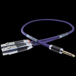 Dubbele XLR 3-pins vrouwelijk naar 6,3 mm (1/4&quot;) TRS-stekker Stereo Breakout gebalanceerde hoofdtelefoonadapterkabel - verzilverd OFC, teflonisolatie