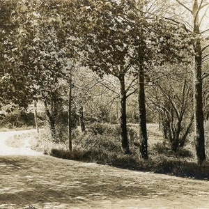 Cartão postal antigo de foto real RPPC, ano de 1908 - "Onde as viagens de verão começam" - Estrada rural, paisagem florestal, natureza - 187