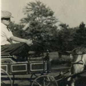 アンティーク写真 - 「農場の交通」 - カートを運転する少年、荷馬車、ヤギ、動物の気分、農場、ファンシーライフ - 157