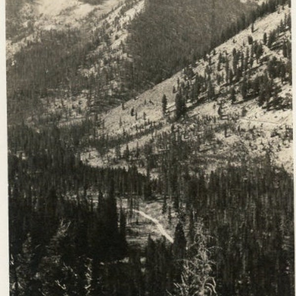 Antique Photograph - "Finding Mountain Roads" - Landscape Picture Snapshot Nature Hiking Photo Find Camping Adventure - 98