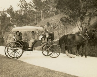 Snapshot Photo - "Taking That Fancy Carriage Ride" - 20