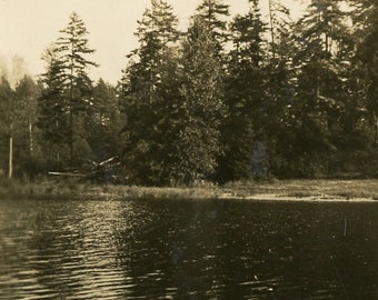 Antique Photo - "Where Summers are Spent" - Woodland Forest, Trees, Lake - 52