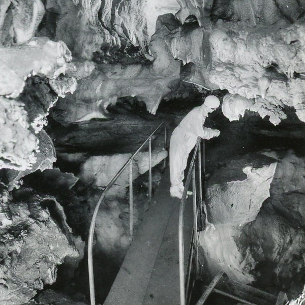 Identified Location, Circa 1940s: Vintage Photo - River Styx, Cave Creek, Oregon Caves National Monument, Pacific Northwest - 34