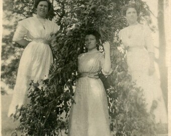 Carte postale ancienne RPPC avec photo réelle - « Les conteurs d'Eastwick » - pose étrange étrange, femme édouardienne, dames Glow Vibe - 52