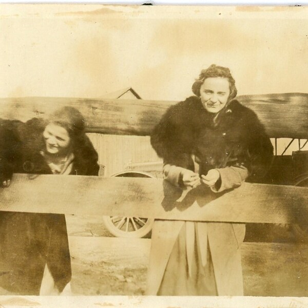 Worn Distressed Trimmed Antique Photograph - "Stuck in a Fence" - Women Woman Girls Goofing Around, Homestead Humor Funny - 82