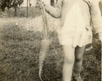 Photo vintage - « Où est M. Bunny ? - Petite fille carotte, jardin potager, enfant personnage de livre de contes, Il était une fois - 52