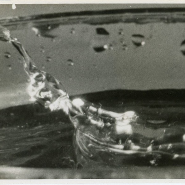 Foto vernácula vintage - "The Great Splash" - Agua, Gotas, Naturaleza, Clima, Primer plano extraño y extraño, Blanco y negro, Instantánea - 89