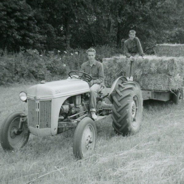 Black and White 1962 Photo - "It's Hay Day" - Men Working Tractor Wagon, Homestead Living, Farm Chores - 65