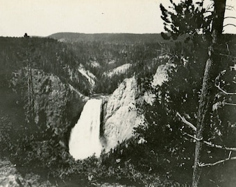 Identified Location, Circa 1920s: Antique Photograph - Yellowstone National Park, Yellowstone Upper Falls, Nature, Forest, Landscape - 141