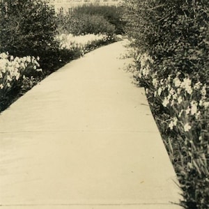 Antique Photograph - "Finding the Perfect Path" - Garden Walkway, Nature Flowers Park - 167