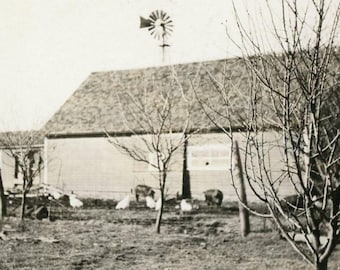 Antique RPPC Real Photo Postcard, Handwritten Note Letter on Back - "Joseph's Farm" - 188