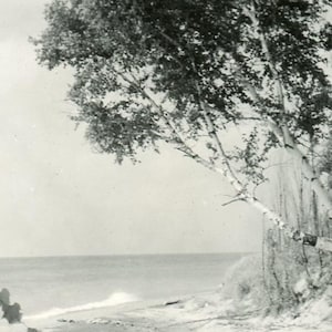 Black and White Vintage Photo - &quot;Nature&#39;s Paradise&quot; - 157