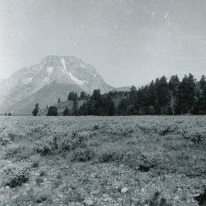 Black and White Photo - &quot;Perfect Place for a Tent&quot; - Nature Landscape, Mountain Trees - 154