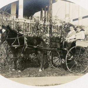 Carte postale ancienne avec photo réelle RPPC - "Taking the Mini Pony Express" - Petites filles en calèche - 142