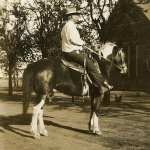 Vintage Photo - &quot;Riding to Check on Crops&quot; - Side Profile of Man Farmer on Pony - 116