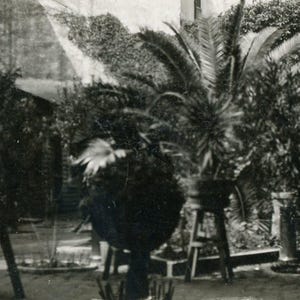 Antique Photograph, Circa 1900s - &quot;Once Upon a Courtyard&quot; - 157