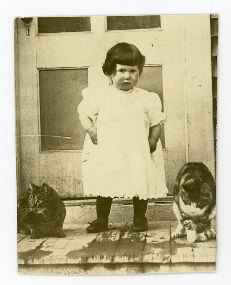 The Kitty Whisperer 134 Antique Photo