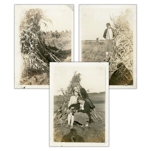 3pc Vintage Photo Set - &quot;Happy Farm Friendship&quot; - Woman Woman Lady Girl, Best Friends, Fun Collection - 62