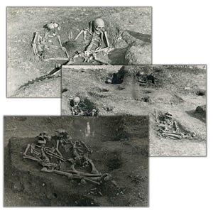 May include: A black and white photographic collage depicting multiple archaeological excavation sites. The images show human skeletal remains partially unearthed from the earth, with skulls, rib cages, and limb bones visible in various burial pits.