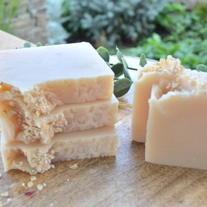 Goats Milk & Honey | Botanical Soap