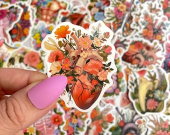 50pcs Anatomy Stickers Pack, Gothic Floral Stickers with Anatomical Hearts, Skulls and Organs, Medical Aesthetic for Journals, Scrapbooking
