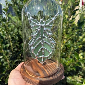 Nyfiken bönsyrsa, solfångare i målat glas
