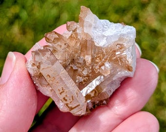 May include: A cluster of translucent, light brown quartz crystals with sharp, pointed terminations. The mineral specimen features a prominent white, opaque base section and several smaller, elongated crystal points radiating outwards.