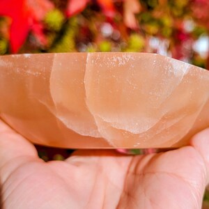 May include: A peach-colored, oval-shaped bowl made of a translucent material. The bowl is held in a hand, with a blurred background of red and green foliage. The bowl's surface has a natural, textured appearance.
