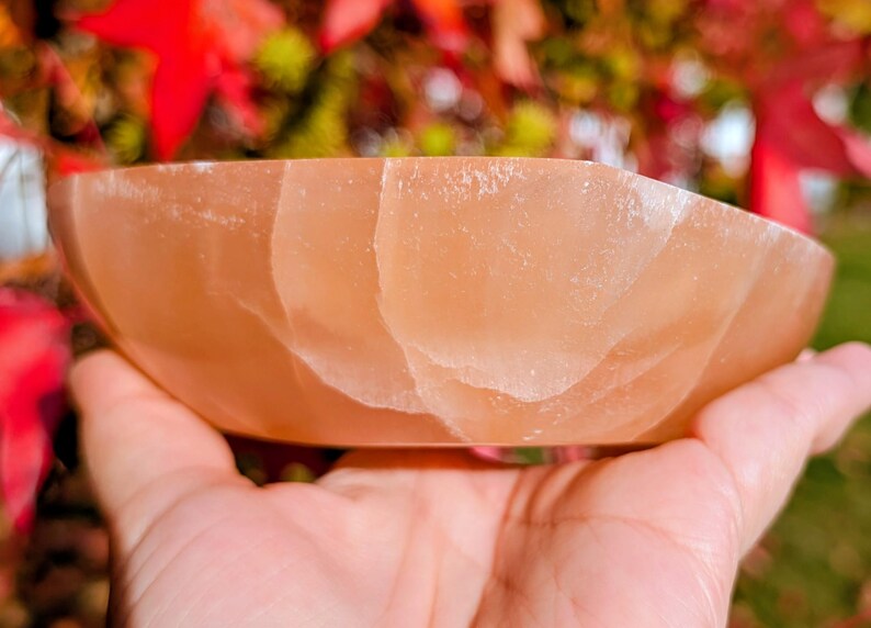 May include: A peach-colored, oval-shaped bowl made of a translucent material. The bowl is held in a hand, with a blurred background of red and green foliage. The bowl's surface has a natural, textured appearance.