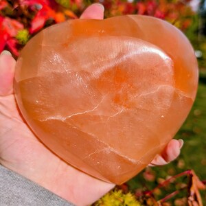 May include: A large, heart-shaped orange crystal. The crystal has a smooth, polished surface with natural veining. The heart is held in a hand, with a blurred background of green grass and red leaves.