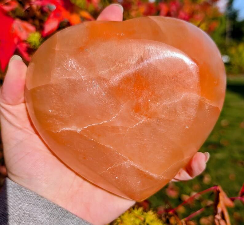 May include: A large, heart-shaped orange crystal. The crystal has a smooth, polished surface with natural veining. The heart is held in a hand, with a blurred background of green grass and red leaves.