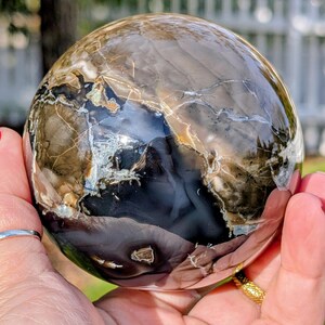 May include: A polished sphere of petrified wood, showcasing a blend of brown, black, and cream tones. The orb's surface has intricate patterns and veining, creating a unique, natural aesthetic. The sphere is held in a hand, with a blurred background.
