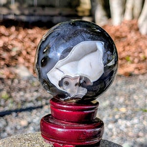 May include: A polished black and white agate sphere with a large, irregular white inclusion, displayed on a deep red wooden stand. The sphere's surface reflects light, showcasing its natural patterns. The stand is a rich, dark red color.