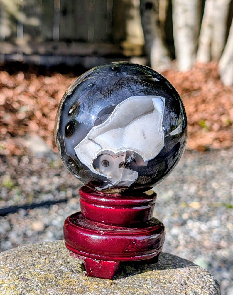 May include: A polished black and white agate sphere with a large, irregular white inclusion, displayed on a deep red wooden stand. The sphere's surface reflects light, showcasing its natural patterns. The stand is a rich, dark red color.