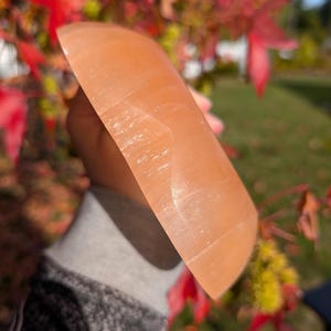 May include: A peach-colored, curved crystal, possibly selenite, is held in front of a blurred background of red and green foliage. The crystal has a smooth, polished surface and a semi-transparent appearance. The shape is a rounded rectangle.